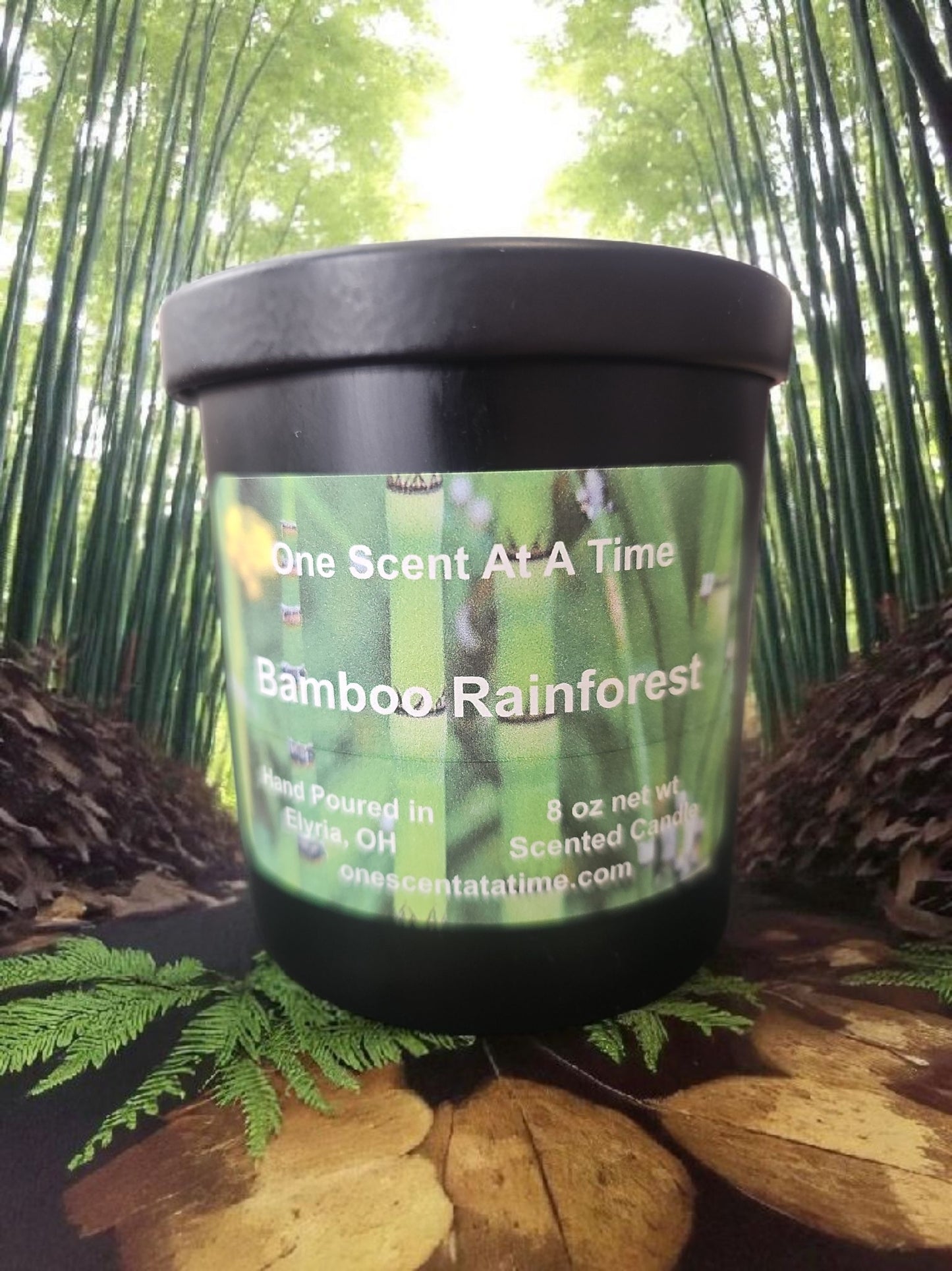 Bamboo Rainforest