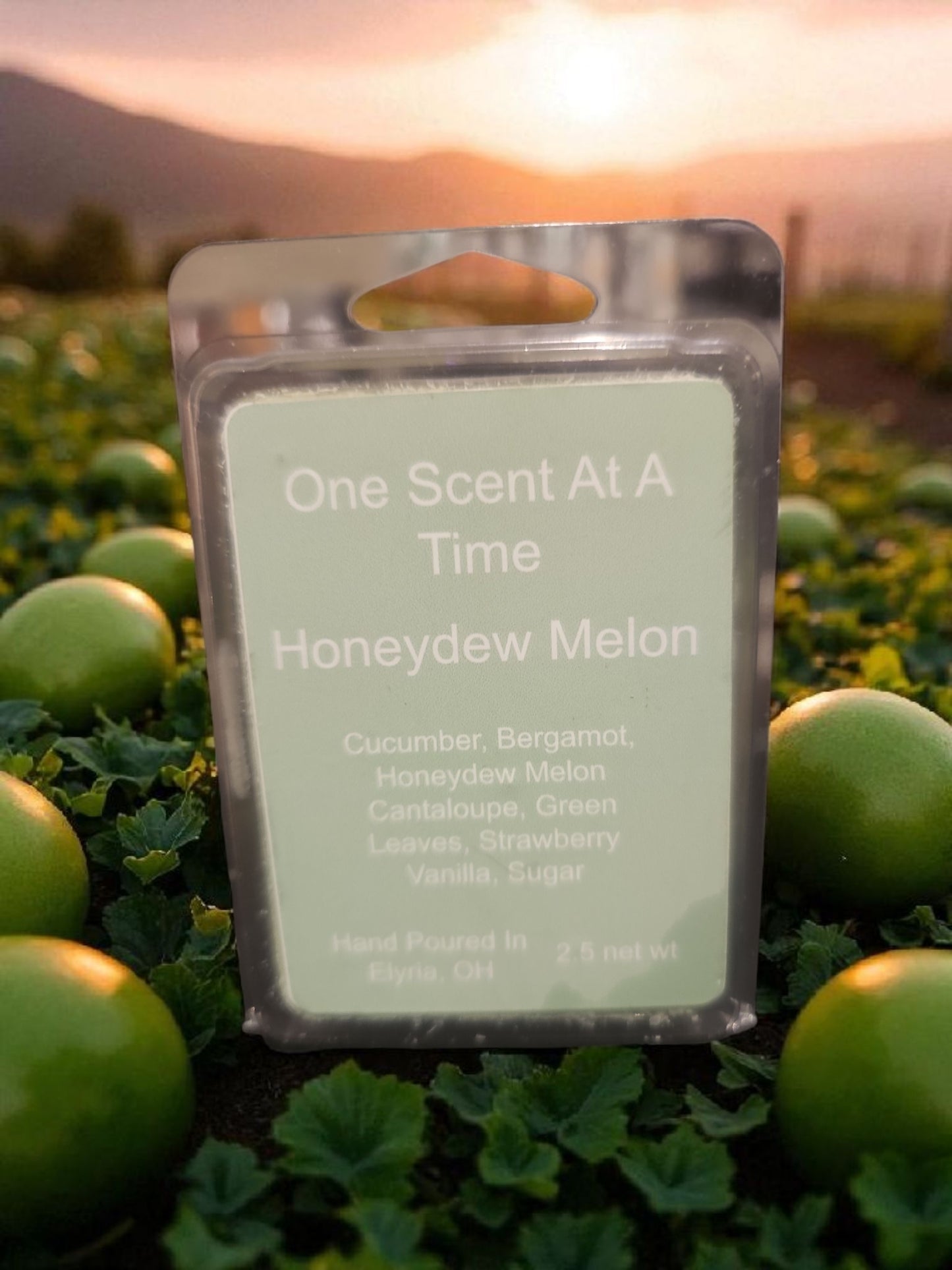 Honeydew Melon