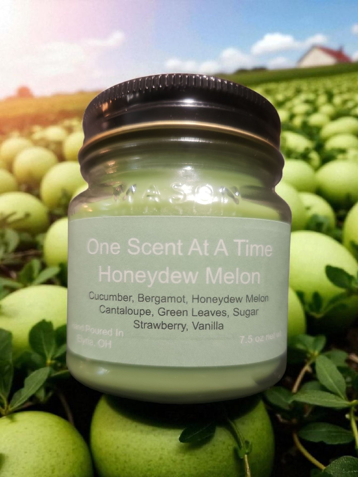 Honeydew Melon