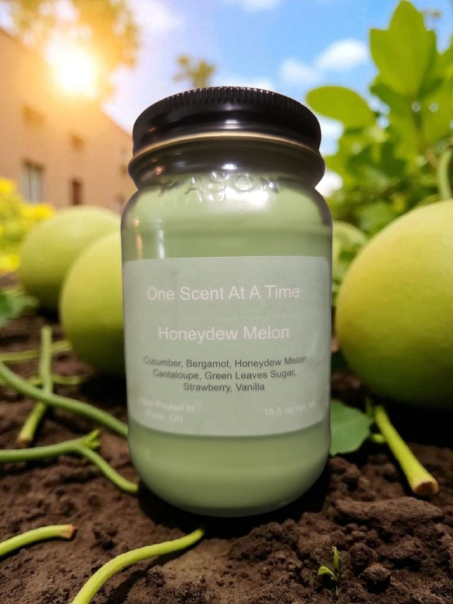 Honeydew Melon